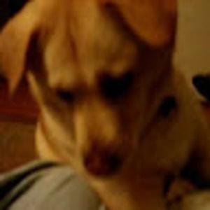 Meet your Posher, Glen